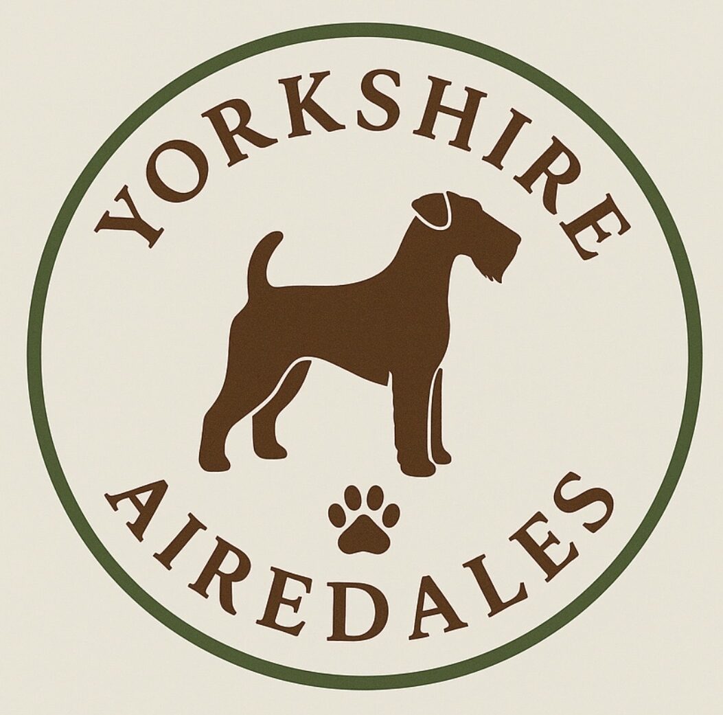 Yorkshire Airedales